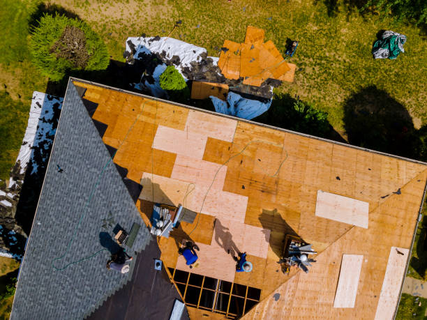 Best Metal Roofing Contractor  in Brogden, NC