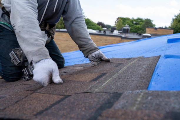 Best Commercial Roofing Services  in Brogden, NC