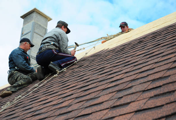 Best Local Roofing Companies  in Brogden, NC